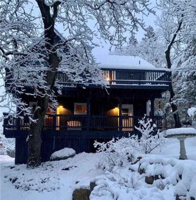 Charming Getaway Cabin ليك أروهيد المظهر الخارجي الصورة